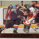 Todd Bertuzzi Rookie 95/96 /SKYBOX Hockey Trading Cards