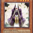 YuGiOh Trading Card Summoner Monk SDSC EN005 1st Edition