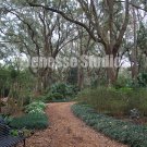 Florida Park