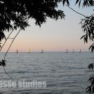 Sailing