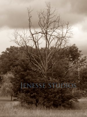 Sand Lake Michigan Tree