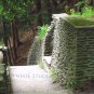 Forest Staircase
