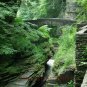 Lucifer Falls, Ithaca NY