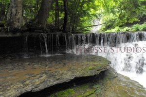 Stony Brook Falls