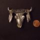 BIKE WEEK RALLY & COLLECTIBLE MOTORCYCLE and HARLEY PINS