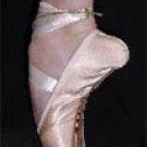 Recital Pointe shoes