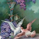 TWO DOVES WITH LILAC Antique Postcard Reproduction