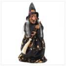 Animated Witch