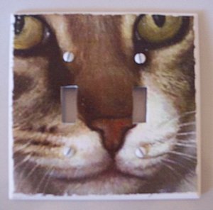 Double LIGHTSWITCH PLATE COVER Cat Face Handmade in the USA