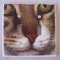 Double LIGHTSWITCH PLATE COVER Cat Face Handmade in the USA