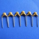 333 Monolithic Capacitor (Item# C0206)