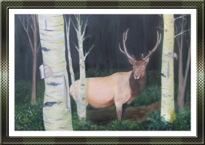 Elk in Birch Forest