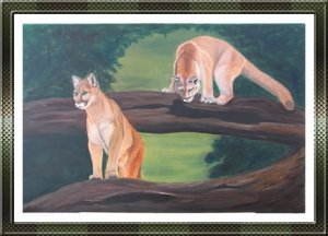 Cougars