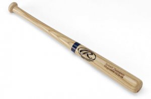 Personalized Rawlings Mini Bat