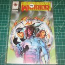 ETERNAL WARRIOR #19 - FIRST PRINT Comic Book - Valiant Comics ETERNAL WARRIOR #19 - FIRST PRINT Comic Book - Valiant Comics