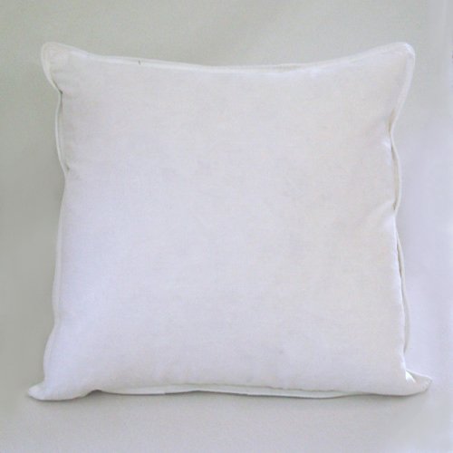 22 x 22 High Quality Feather Down pillow inserts