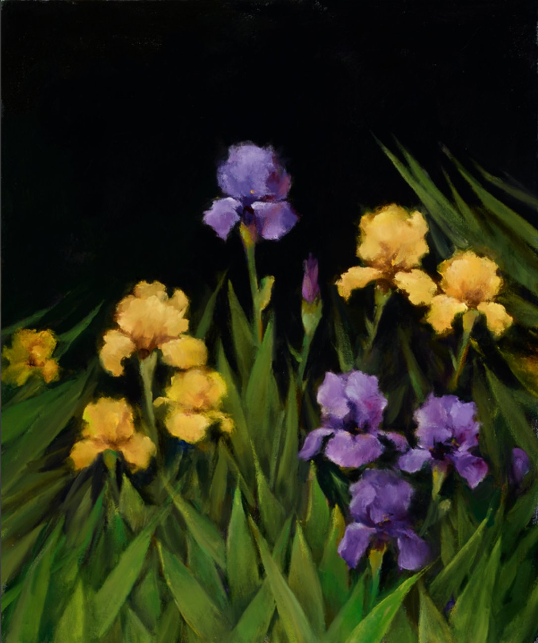 The Iris Garden by Iris Kelmenson