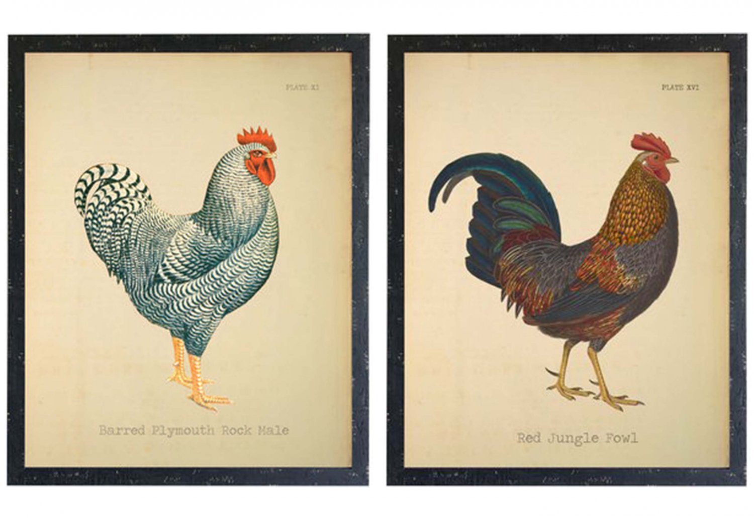 Farmhouse Roosters - Set Of 2