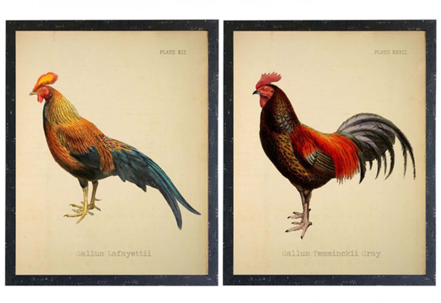 Farmhouse Roosters - Set Of 2
