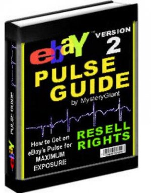 "Ebay Pulse Guide"