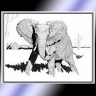 Bull Elephant