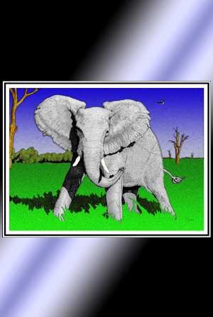Colorful Elephant