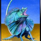 Frilled Lizard