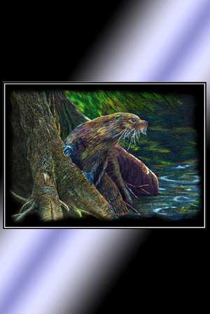 Otter