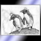 Penguins