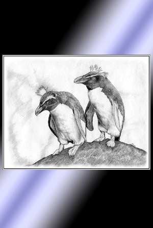Penguins