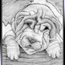 Puppy in Wood