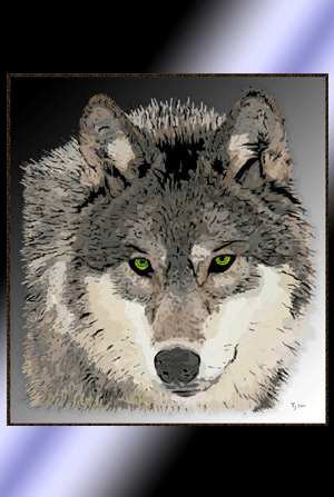 Wolf