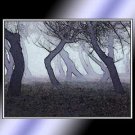 Psychic Fog