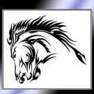 Stallion