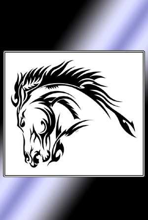 Stallion