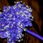 Silk Rose Bouquets