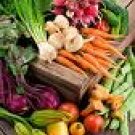 The Raw Diet