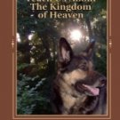 What Dogs Teach Us About The Kingdom of Heaven