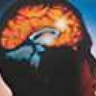 Stroke Prehospital Care