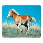 WILD MUSTANG FLEECE BLANKET