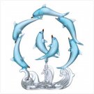 PLAYFUL DOLPHIN CIRCLE