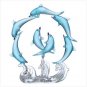PLAYFUL DOLPHIN CIRCLE