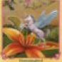 BELLA SARA ROYALTY ***HUMMINGBIRD S32/55*** SHINY FOIL !!!