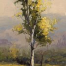 Lone Aspen