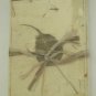 Handcrafted Blank Journal Petals and Grass Buttercream, in Box 5 1/4 x 7 1/4