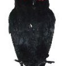 Owl - Black