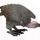 Vulture - Large Foam Crouching