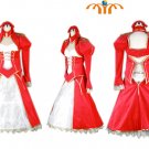 Fate Stay Night Costume Cosplay, Any Size!