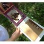 Photo Album (Pet Design)