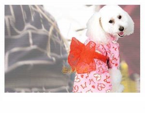 Doggie Kimono -floral printed design